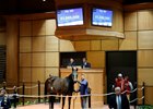 Hip 385, buyer Shingo Hashimoto for Northern Farm, Fasig-Tipton Kentucky Winter Mixed Sale, February 2026