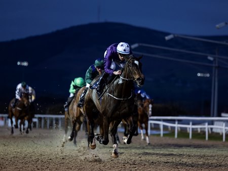 Blanc de Blanc wins the Patton Race at Dundalk Stadium