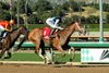 Meaning and jockey Flavien Prat, right, outleg Explora. (Juan Hernandez), left, to win the $100,000 Las Virgenes Stakes, Sunday, February 8, 2026 at Santa Anita Park, Arcadia CA.
© BENOIT PHOTO