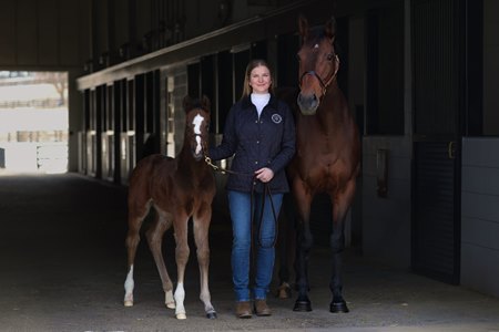 Susan Finney with Princess Calla, the 2024 South African Horse of the Year purchased by Resolute Farm, and her colt by McKinzie
