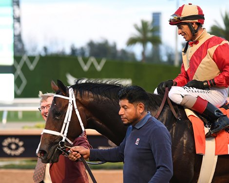 Nearly Carries Century - Long Legacy of La Troienne