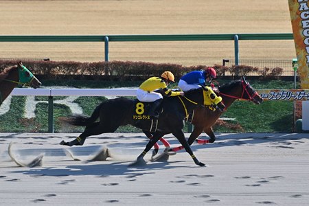 Lucky Kid (inside) holds off Don Erectus to win the Hyacinth Stakes at Tokyo Racecourse