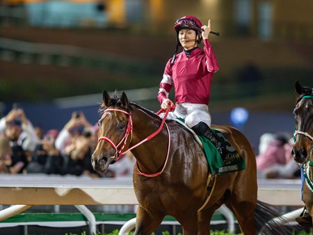 Two-time Saudi Cup winner Forever Young