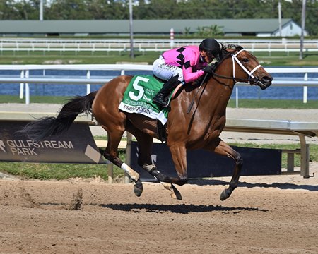 Prom Queen wins the Gulfstream Park Oaks at Gulfstream Park