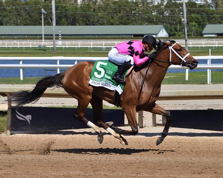 Prom Queen wins the Gulfstream Park Oaks at Gulfstream Park