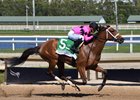 Prom Queen wins the 2026 Gulfstream Park Oaks at Gulfstream Park
