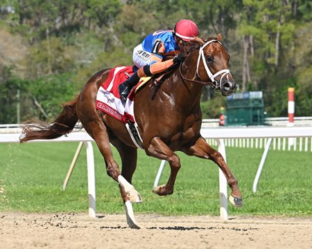 Disruptor wins the Challenger Stakes at Tampa Bay Downs