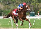 Disruptor wins the 2026 Challenger Stakes at Tampa Bay Downs