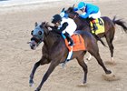 Nu What's New wins the 2026 Oaklawn Mile Stakes at Oaklawn Park