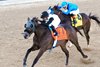 Nu What's New wins the 2026 Oaklawn Mile Stakes at Oaklawn Park