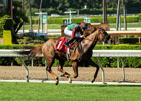 Grand Slam Smile wins the Irish O'Brien Stakes at Santa Anita Park