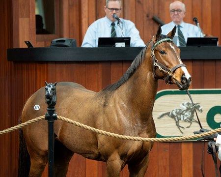 The sales-topping Nyquist filly consigned as Hip 372 in the ring at the OBS March Sale