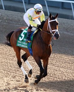 Skippylongstocking at Oaklawn Park
