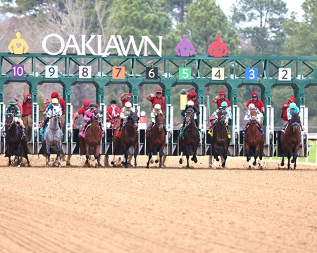Horses break from the gate in the Rebel Stakes at Oaklawn Park