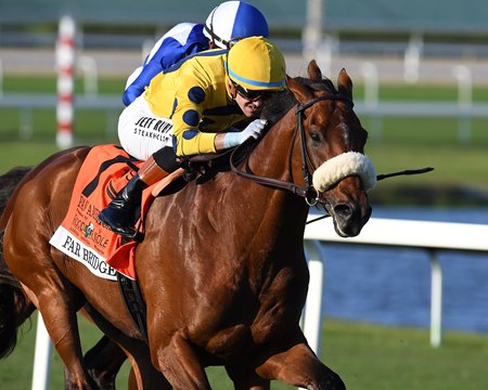 Far Bridge wins the Pan American Stakes at Gulfstream Park