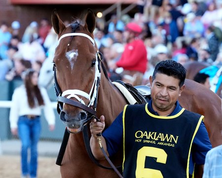 Renegade preps for the Arkansas Derby at Oaklawn Park