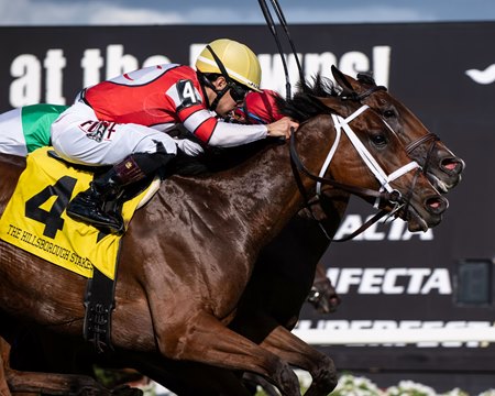Destino d'Oro (outside) gets up by a nose to win the Hillsborough Stakes at Tampa Bay Downs