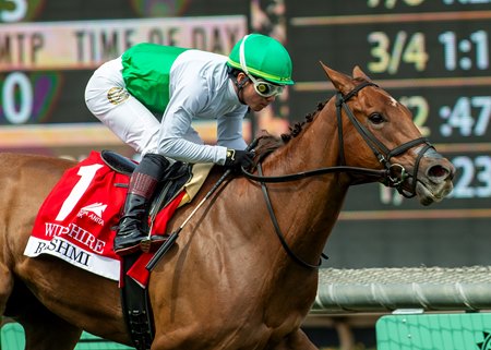 Rashmi wins the Wilshire Stakes at Santa Anita Park