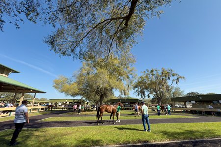 Inspections at the OBS March Sale