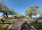 Scenics, OBS March Sale, 2026