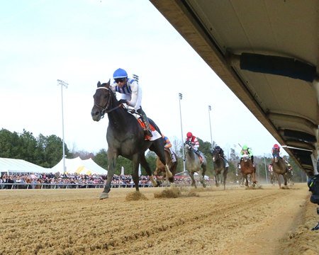 Incredibolt wins the Virginia Derby at Colonial Downs