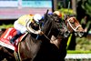 Sumter and jockey Mike Smith, left, outleg Quereme Pass (Emisael Jaramillo), right, to win the Grade III, $100,000 San Simeon Stakes, Saturday, March 14, 2026 at Santa Anita Park, Arcadia CA.
© BENOIT PHOTO