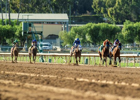 Bank Shot (white blinkers) finishes behind Forced Entry (center) in the Santa Ysabel Stakes at Santa Anita Park