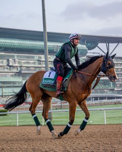 Calandagan on the track March 24 at Meydan Racecourse