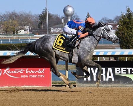Scalable wins the Top Flight Stakes at Aqueduct Racetrack