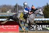 Scalable wins the 2026 Top Flight Stakes at Aqueduct