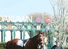 Renegade, Paddock Schooling, Oaklawn Park, March 26 2026