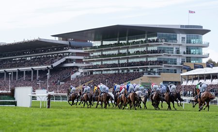Racing at Cheltenham Racecourse