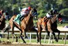 Speedway Stables’ Potente and jockey Juan Hernandez, left,, sneak up on  Robusta (Emisael Jaramillo), inside, just in time to win the Grade II $200,000 San Felipe Stakes Saturday, March 7, 2026 at Santa Anita Park, Arcadia, CA, giving trainer Bob Baffert and jockey Juan Hernandez their second stakes wins on  the day.   Benoit Photo