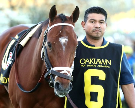 Renegade in the paddock prior to winning the Arkansas Derby at Oaklawn Park
