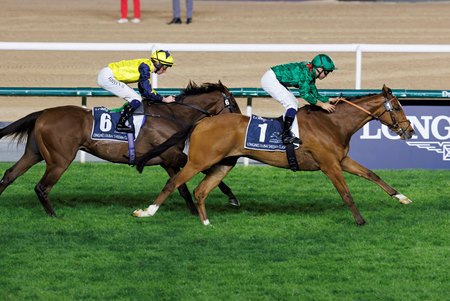 Calandagan wins the Dubai Sheema Classic at Meydan Racecourse