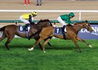 Calandagan wins the 2026 Dubai Sheema Classic at Meydan Racecourse
