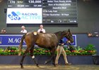 Magic Millions 2026 Gold Coast March Yearling Sale, Lot 170