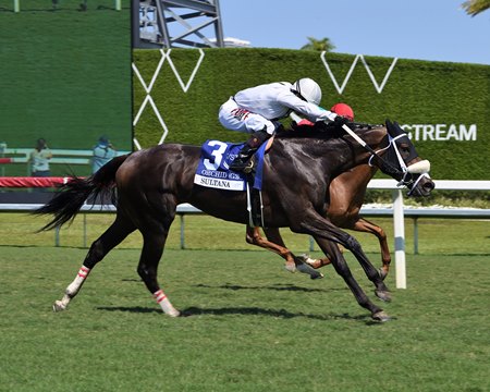 Sultana rallies to defeat Ayra Stark in the Orchid Stakes at Gulfstream Park