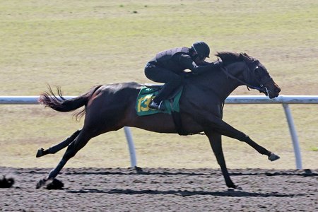Hip 139, a colt by Army Mule, works a furlong in :09 3/5 at the OBS March under-tack show