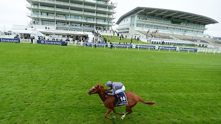 Epsom's Queen Elizabeth II Stand (left) and the Duchess Stand will both receive significant upgrades