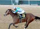 Renegade wins the 2026 Arkansas Derby at Oaklawn Park