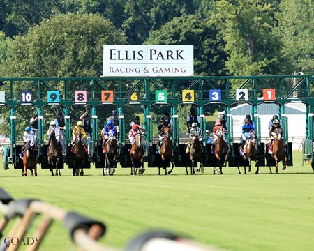 Racing at Ellis Park