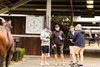 2026 Inglis Easter Yearling Sale