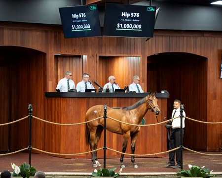 The Yaupon colt consigned as Hip 576 in the ring at the OBS March Sale