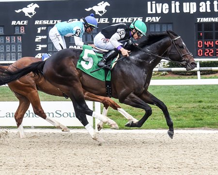 Damon's Mound wins the Sprint Stakes at Tampa Bay Downs