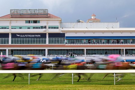 Racing at Gulfstream Park