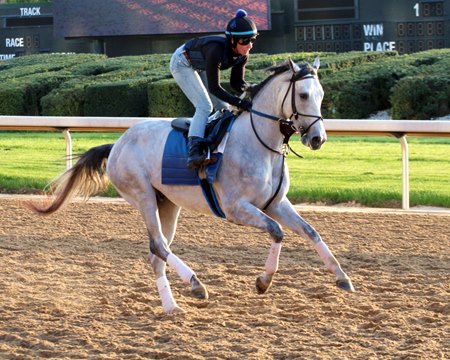 Taptastic appears to be a good fit for the Matt Winn Stakes June 7 at Churchill Downs