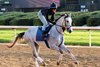 Taptastic - Gallop - Oaklawn Park - 032526