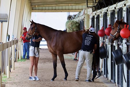 Scenes from the OBS March Sale 