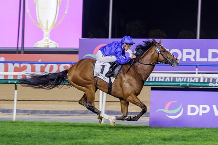 Ombudsman wins the Dubai Turf at Meydan Racecourse